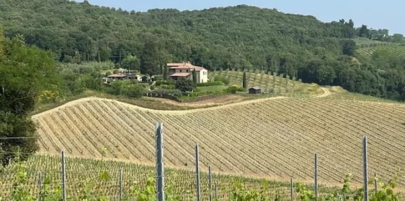 Podere Casanuova - Caesius Home Pool & View 6
