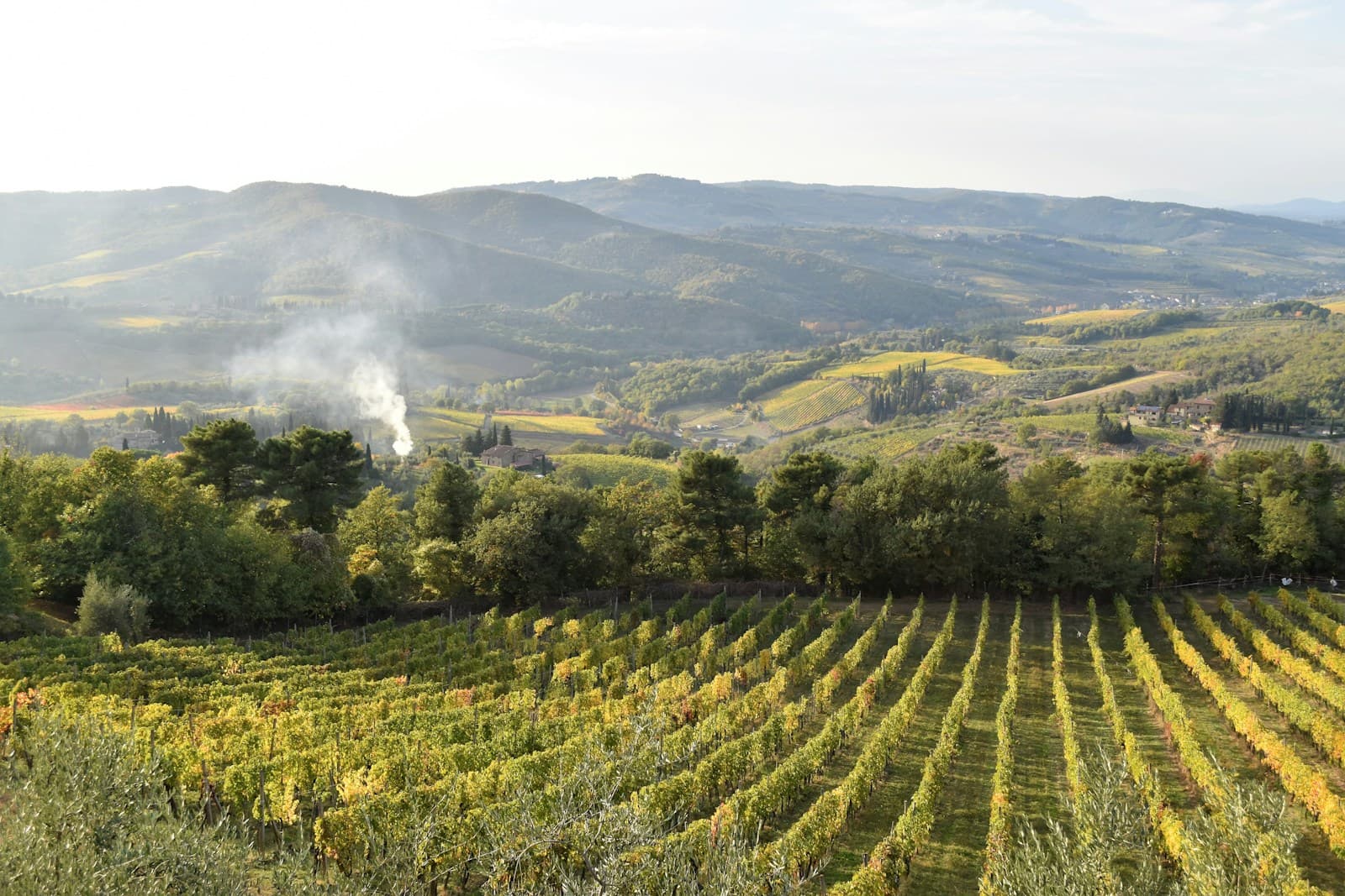 Chianti