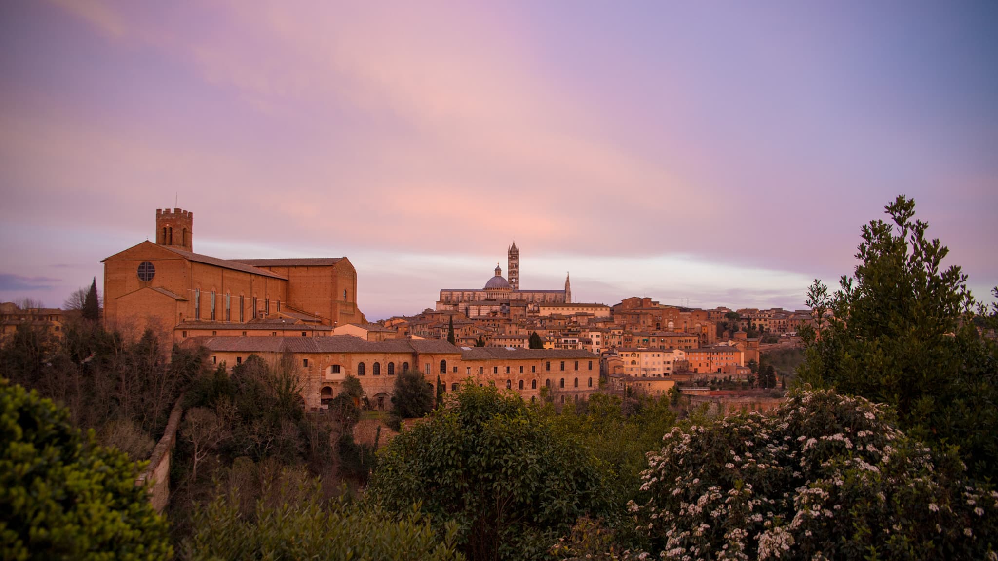 Siena