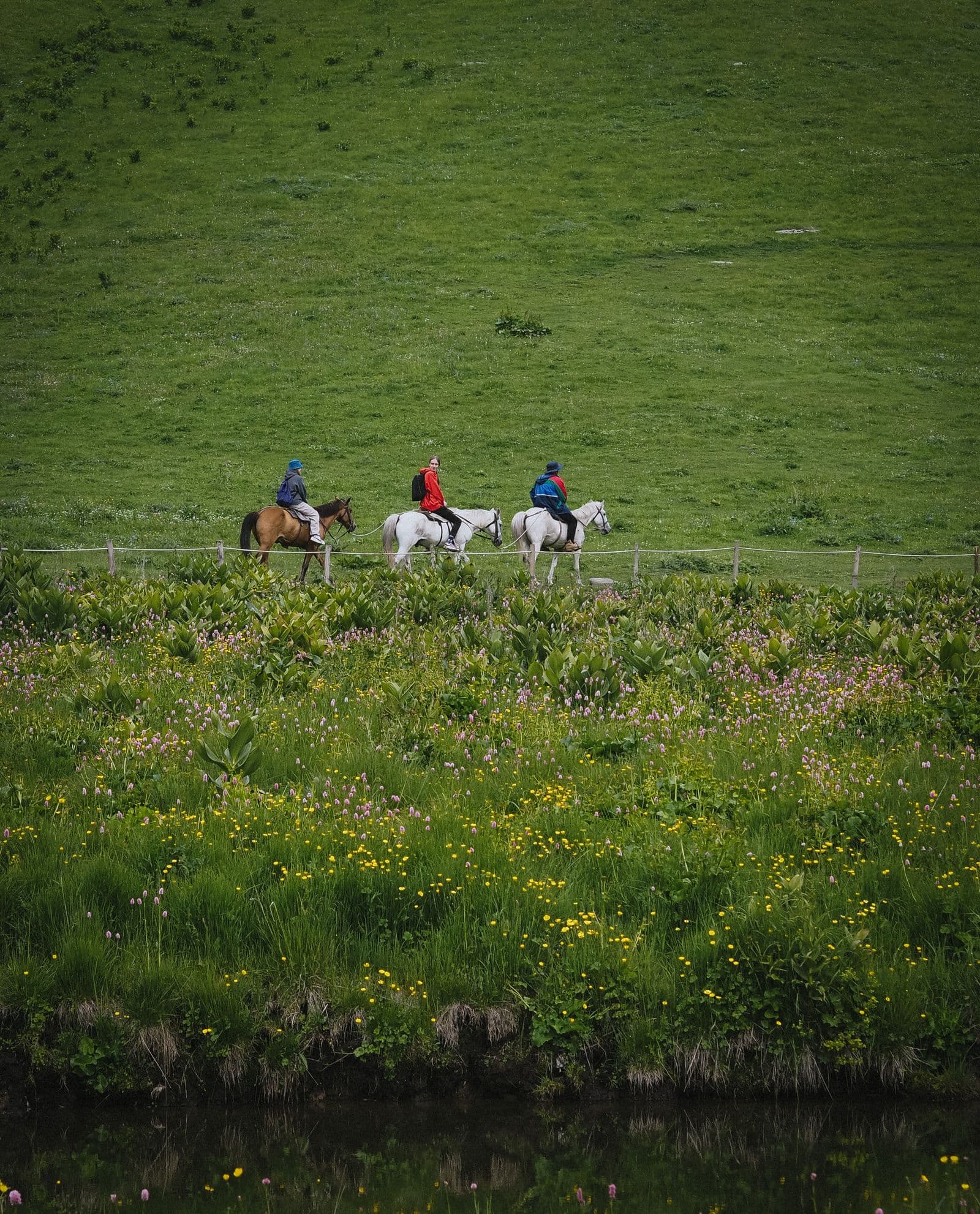 Passeggiata a cavallo