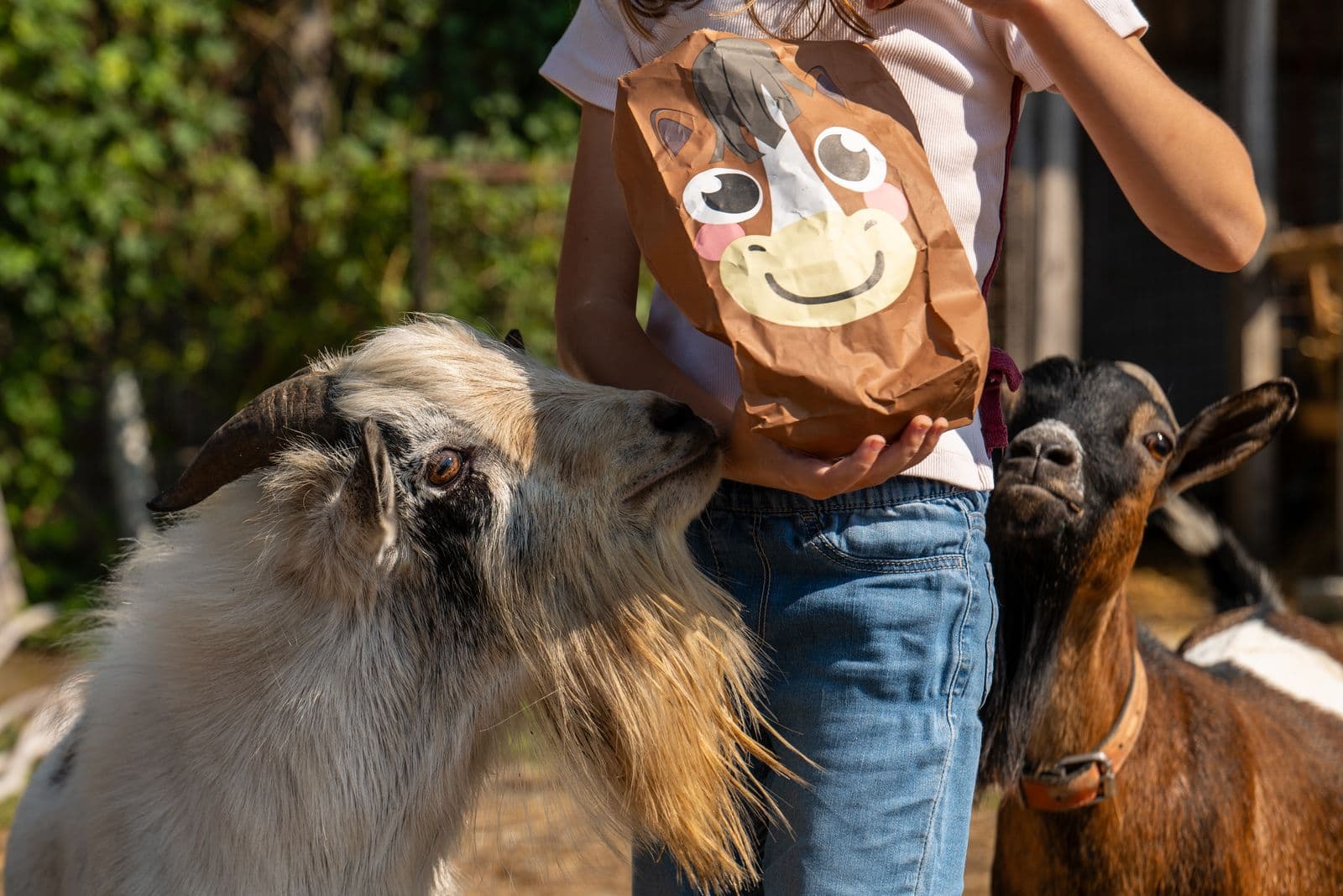 Day at an educational farm