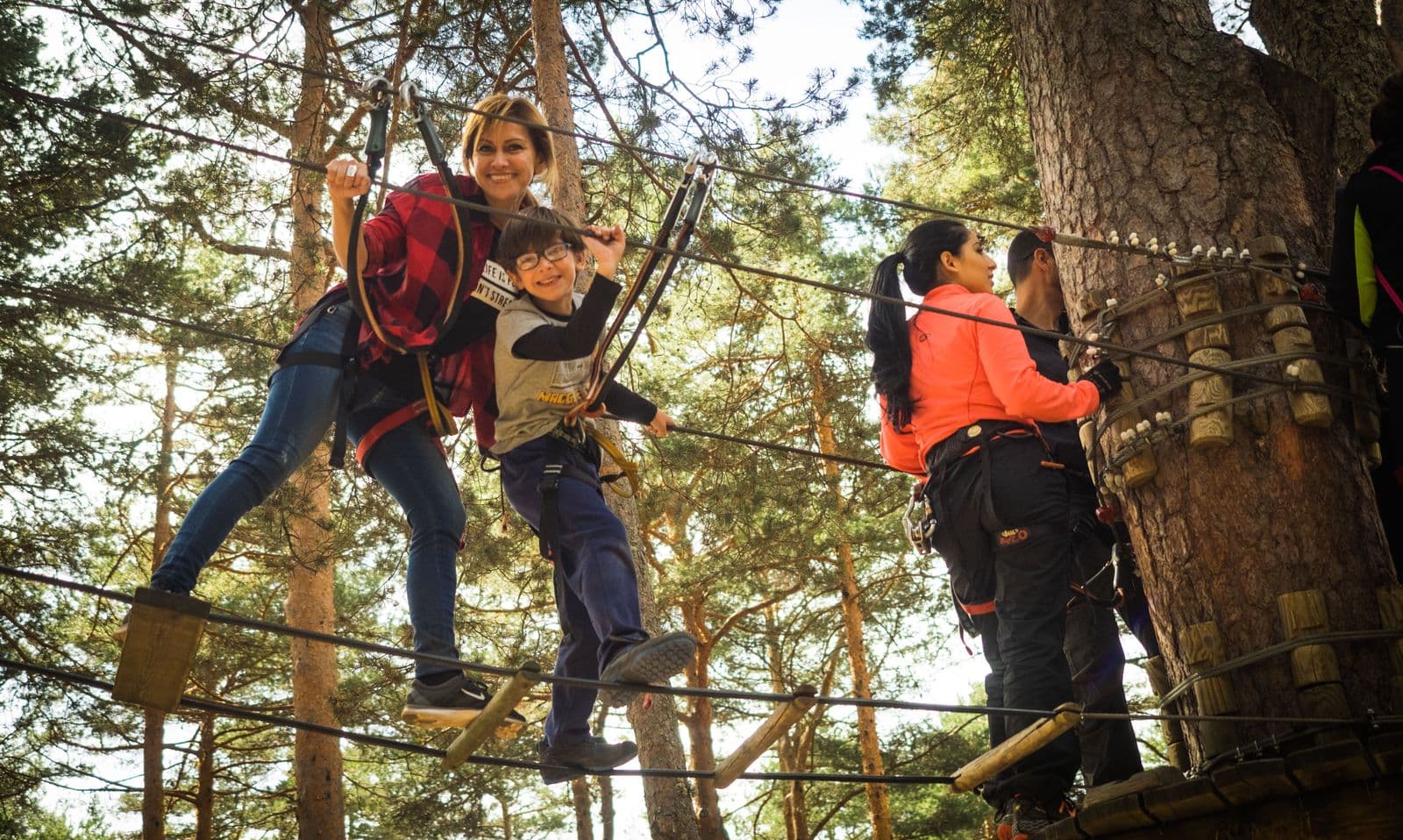 Treetop adventure park
