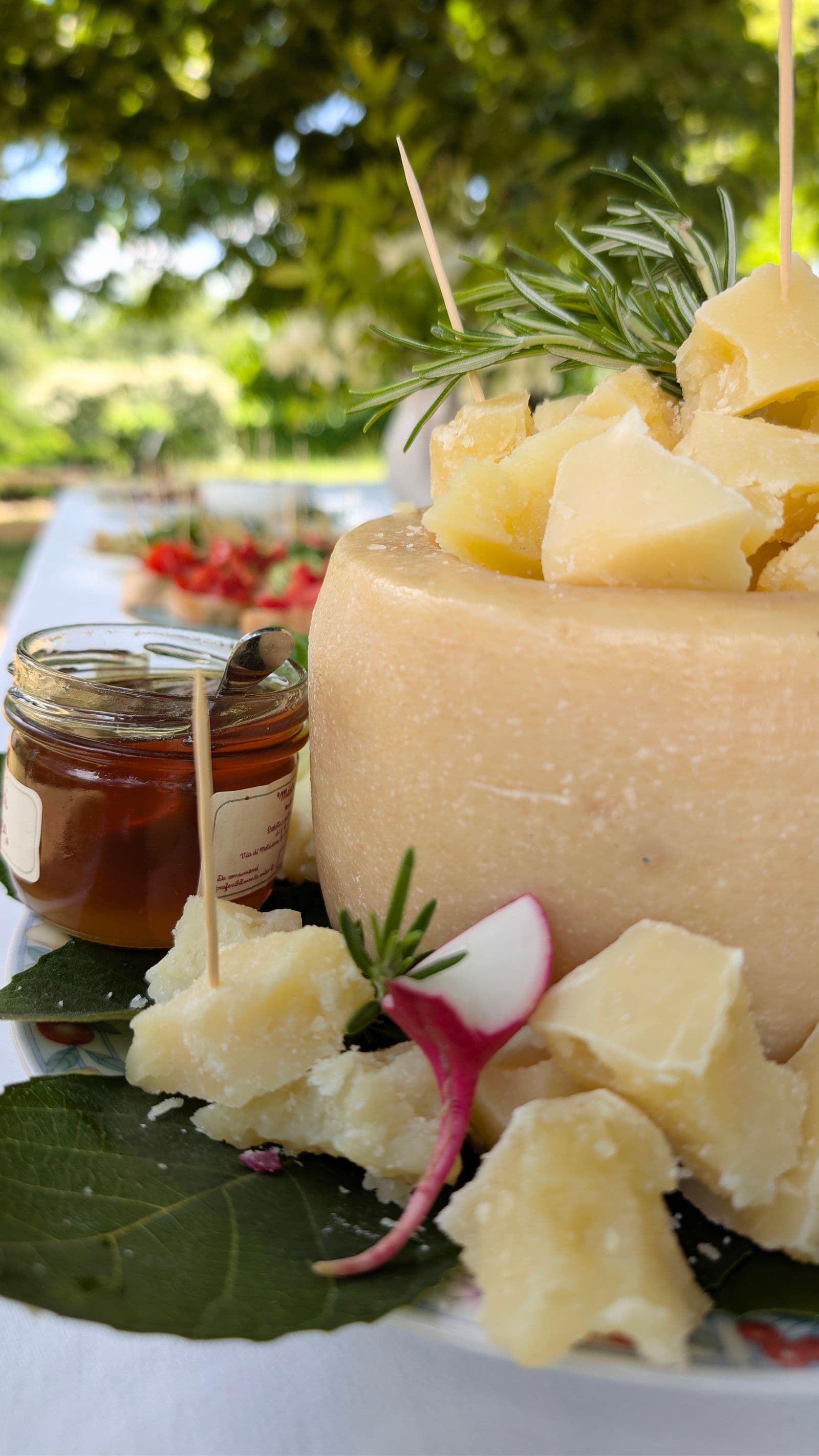 Pienza pecorino at the dairy