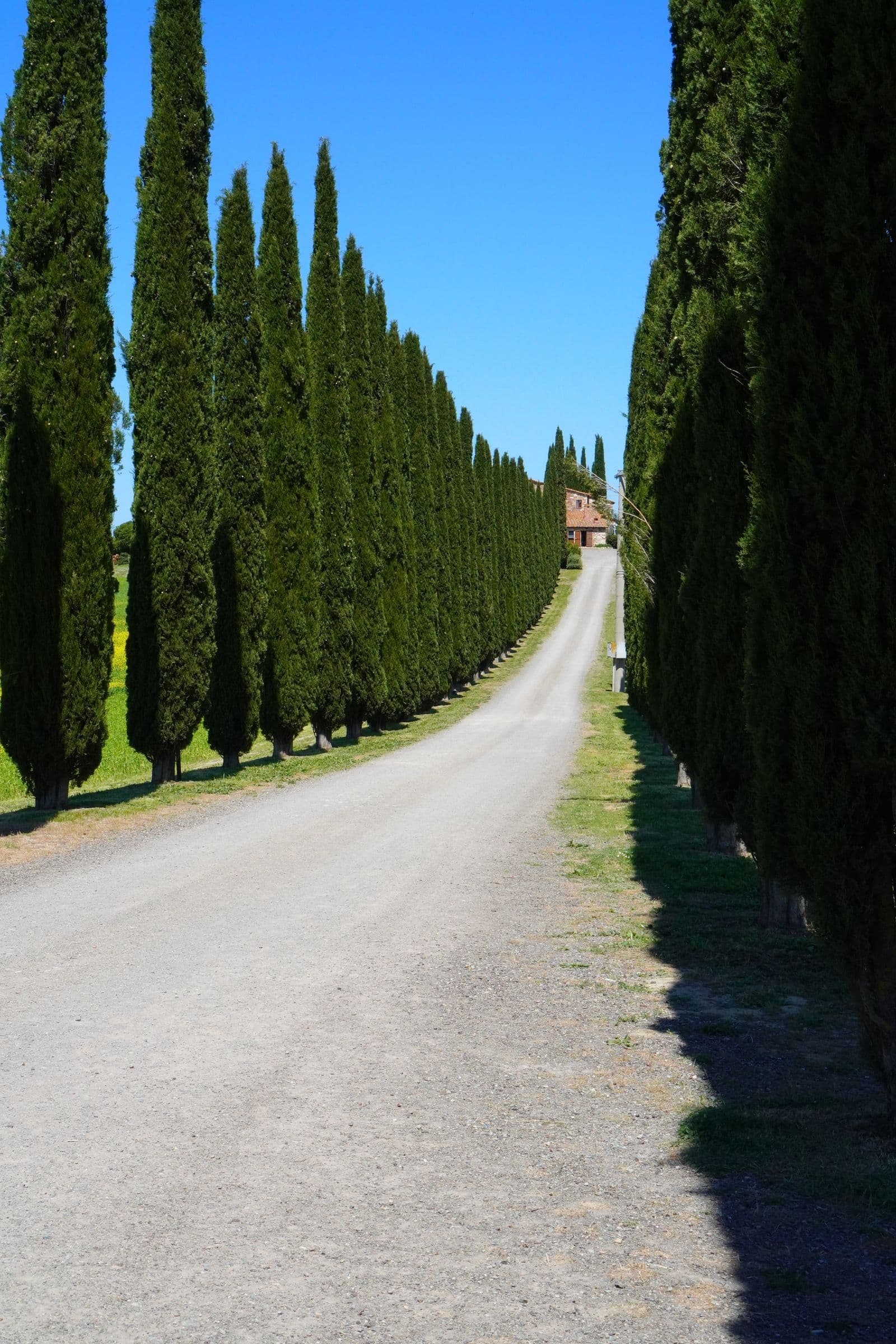 Noleggio auto