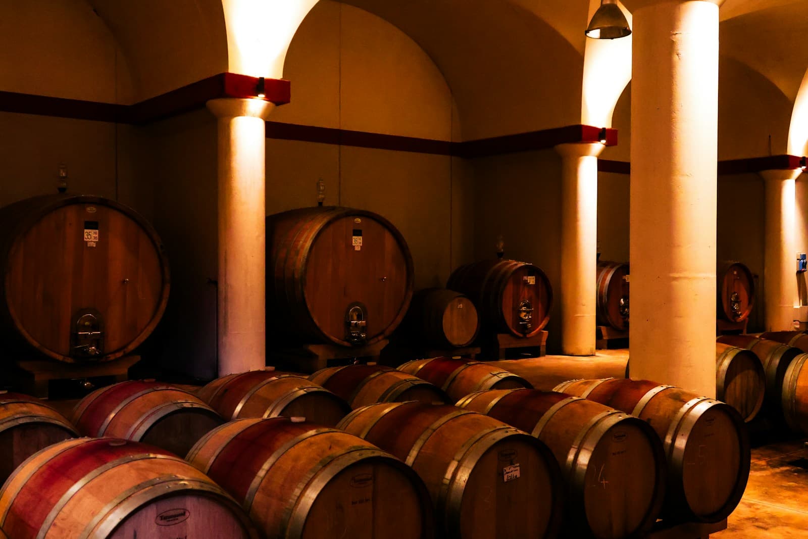 Wine tasting in the cellar